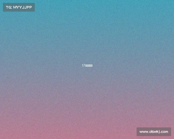 17年女排联赛 17年女排联赛